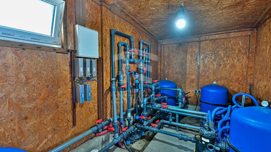 Sala de evenimente cu  piscina si foisor Biled COMISION 0 % CUMPARATOR - Poză 48