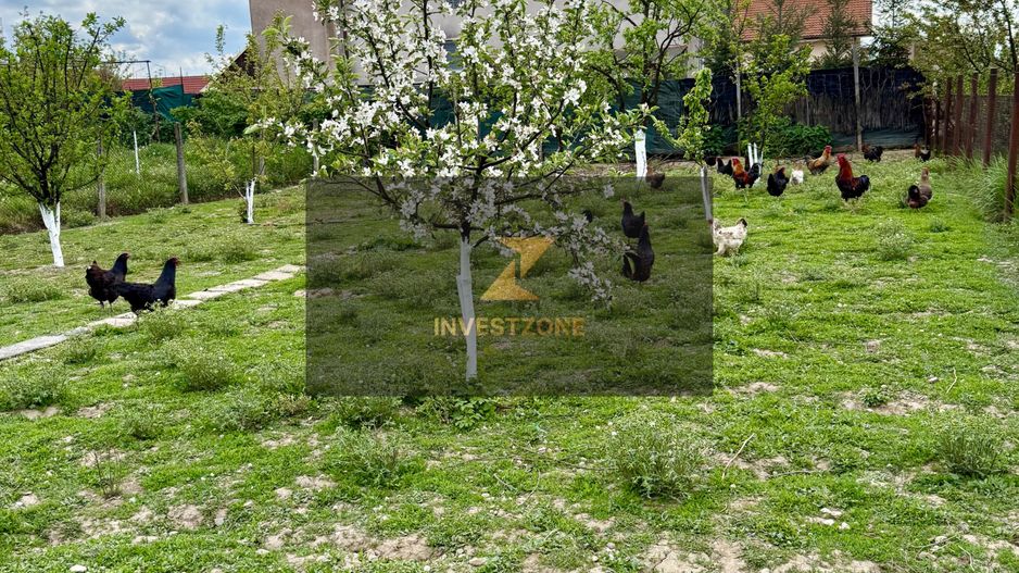 Casă + teren 757 mp Osorhei - Poză 7