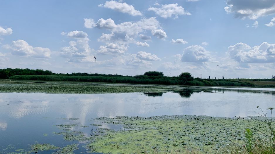 Teren Crevedia 62000 mp - Poză 8