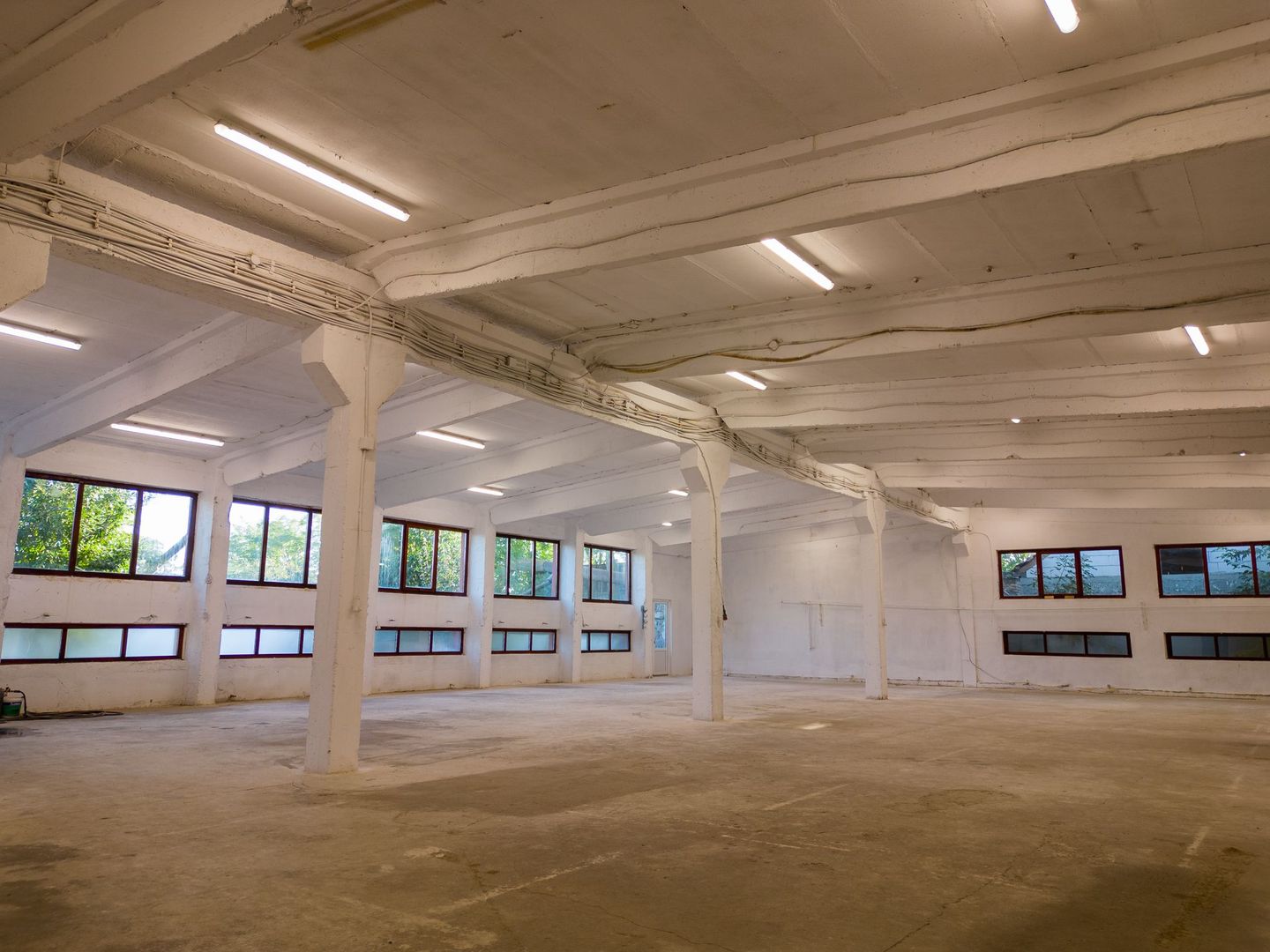 Hală industrială cu multiple destinații în Nădlac - Poză 34