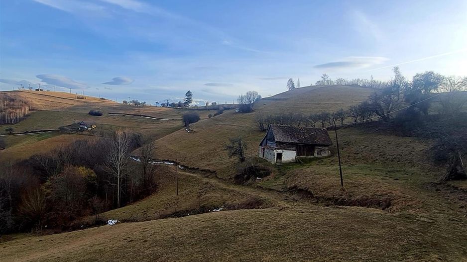 Oaza de liniste si frumusete, reconectare cu natura, 16.000 mp, Poiana Marului - Poză 10
