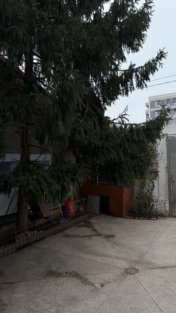 URGENT!, singur curte, constructie 1998, NEGOCIABIL - Poză 4