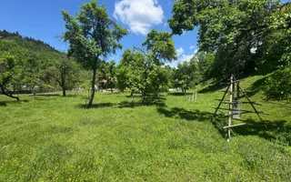 TEREN INTRAVILAN 3477 MP STOENEȘTI BĂDENI ARGEȘ - Poză 17
