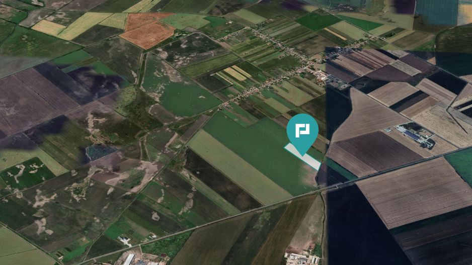 Teren extravilan de 22500 mp în Variașul Mare - Poză 4