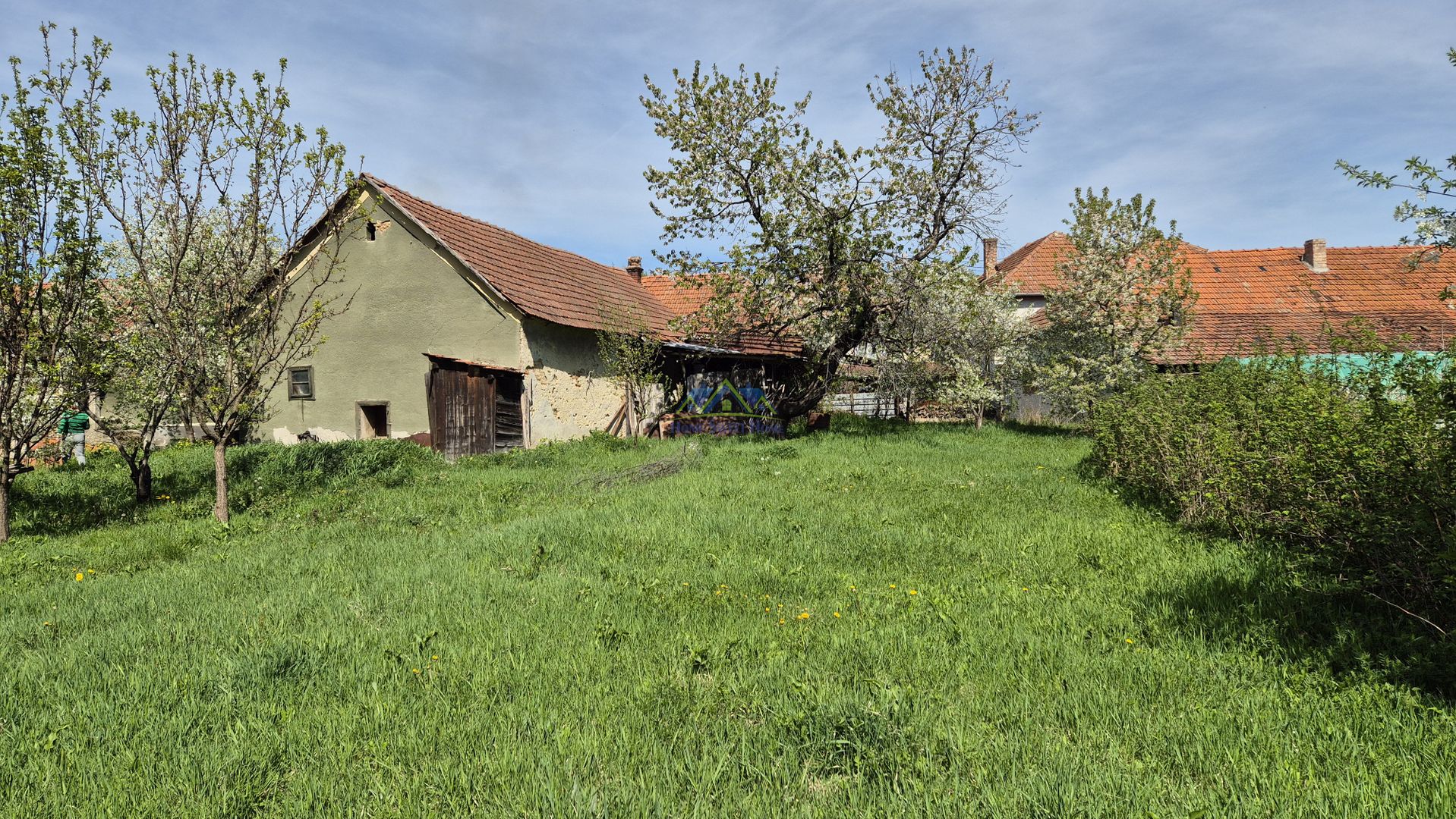 Vand casa 2 camere, 90mp, Silvasul de Jos, teren 1295, deschidere 62m - Poză 7