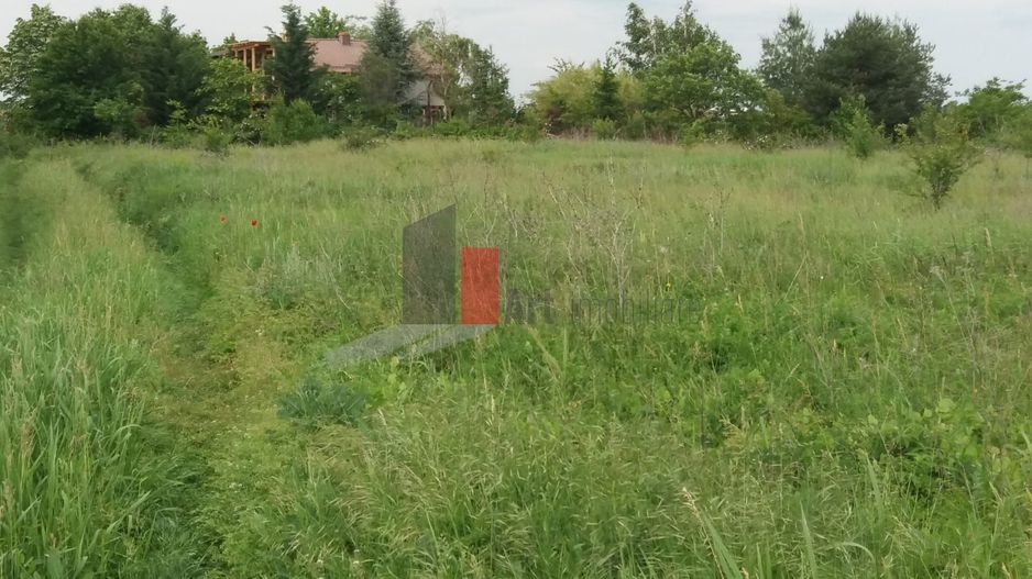 Teren Buftea cu iesire la lac - Poză 18