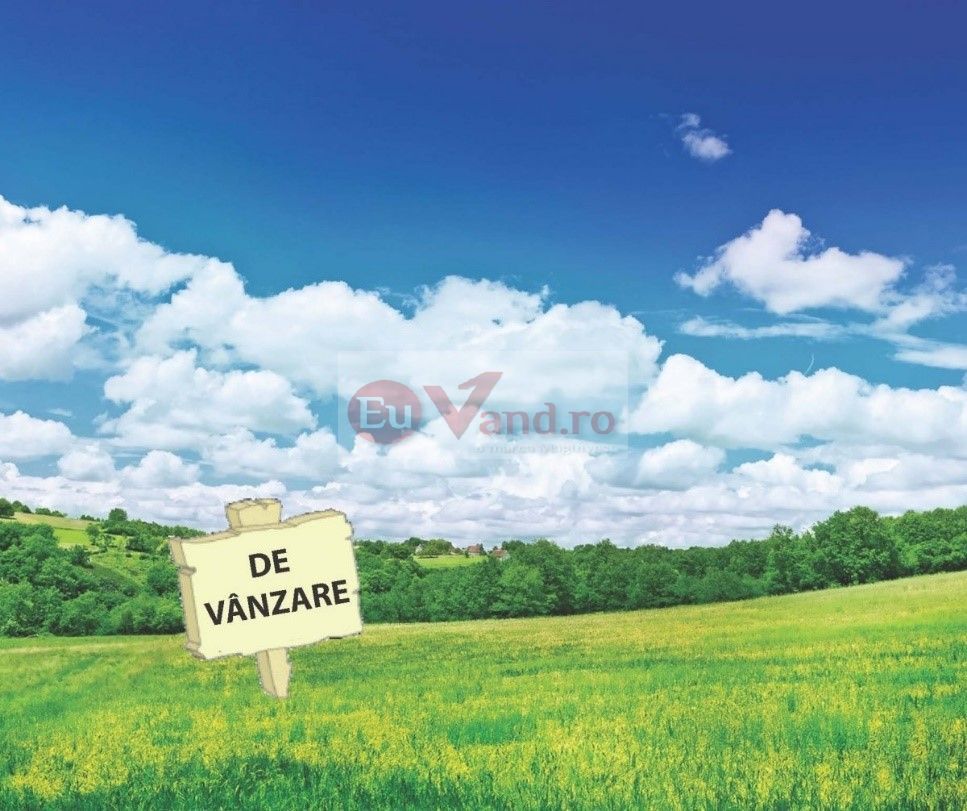 De vanzare 1600 mp. teren extravilan, com. Vanatori, 21E/mp - Poză 1