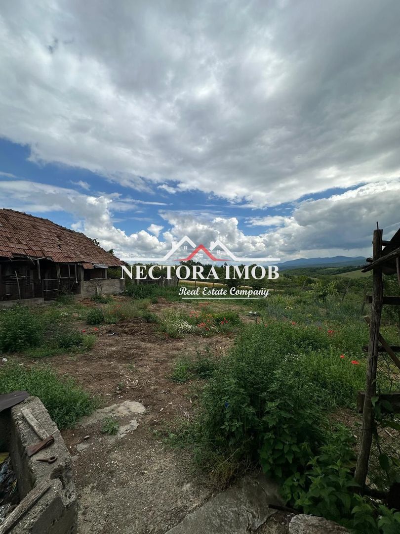 NECTORA IMOB-Casa 4 camere, 130 mp utili + 933 mp teren, Forau,Utilata - Poză 5