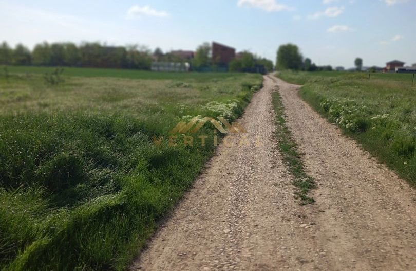 TERENURI INTRAVILANE PARCELATE – BERCENI / VIDRA, ILFOV - Poză 3