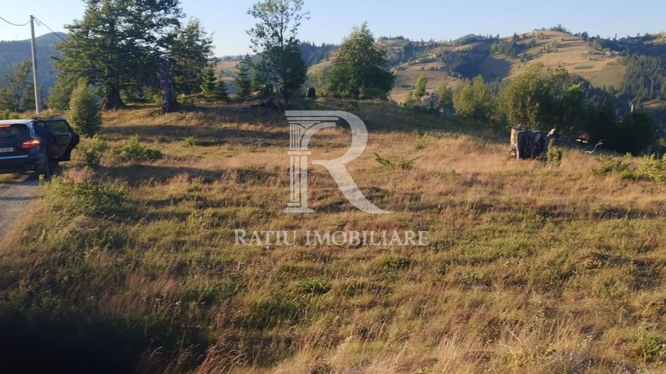 Teren Intravilan | 3.000 mp | Gârda de Sus | Alba | - Poză 1
