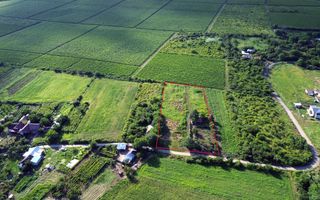 Teren Urlați / Investitie / 5.555 mp pe Traseul MARVIN si Drumul Vinului - Poză 4