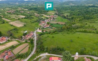 Proprietate de poveste pe Valea Mureșului, Lupești - Poză 8