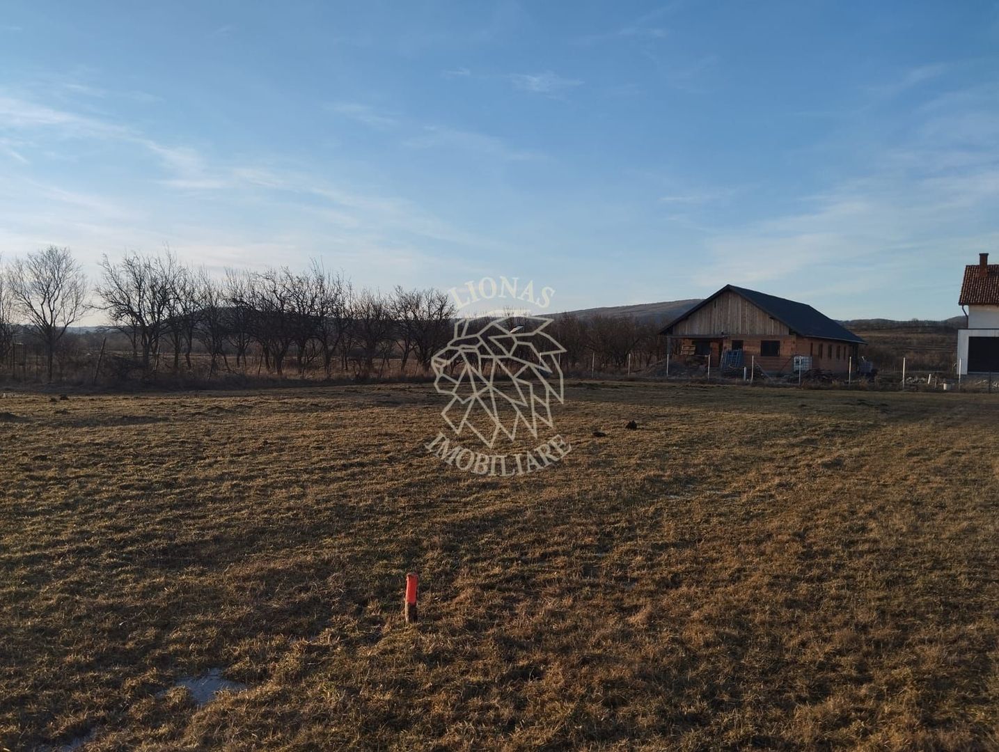 Teren 3500 mp-livada-Rusu Bargaului 13km de Bistrita - Poză 3