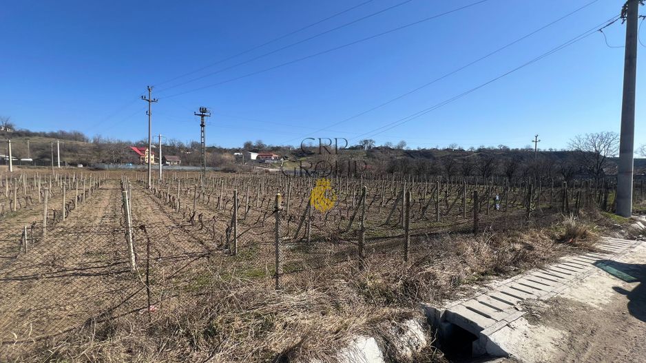Teren intravilan 2700 mp, deschidere 41 ml, Movilita – Vrancea - Poză 2