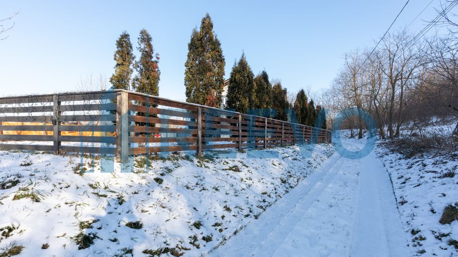 Proprietate cu casa si spatiu comercial+teren 4060 mp Bahna - Poză 41