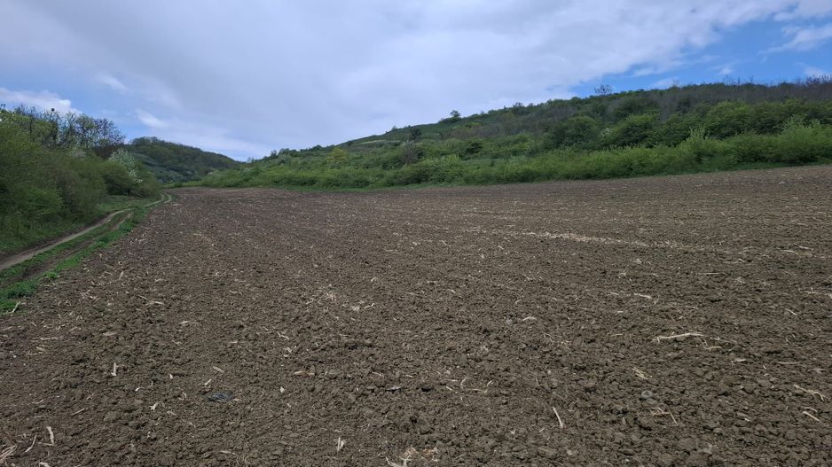 Teren extravilan arabil - Sibiu - Gusterland - Poză 1
