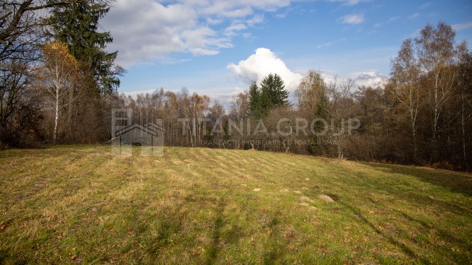 Teren intravilan, cu PUZ, Bran Tohanita,  SE ACCEPTĂ ȘI SCHIMB - Poză 2