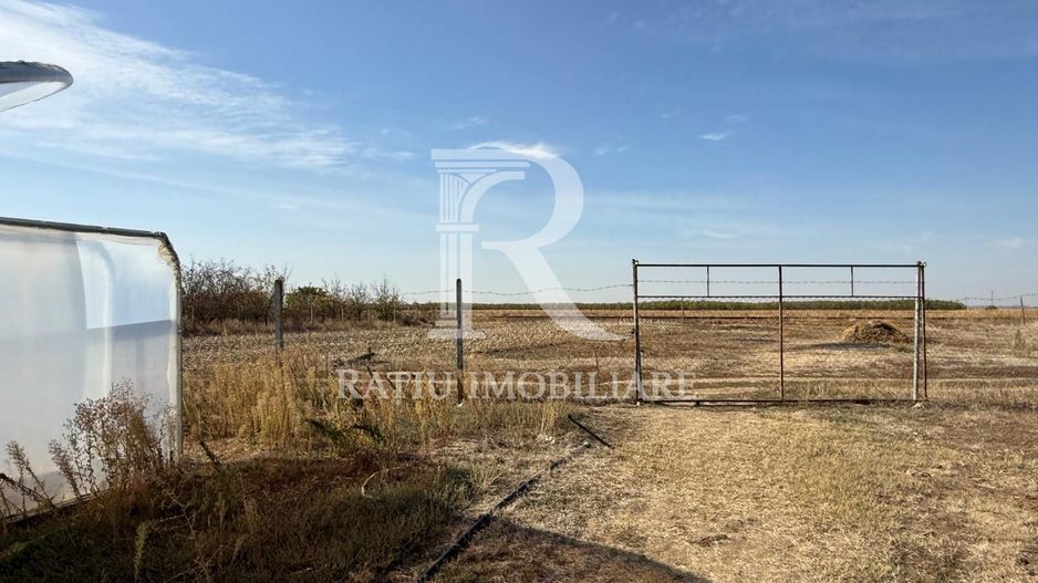 Teren intravilan agricol | 7029 mp | Satu Nou | Bihor - Poză 16