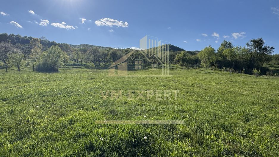 TEREN 4568 MP MIHĂEȘTI ARGEȘ - Poză 3