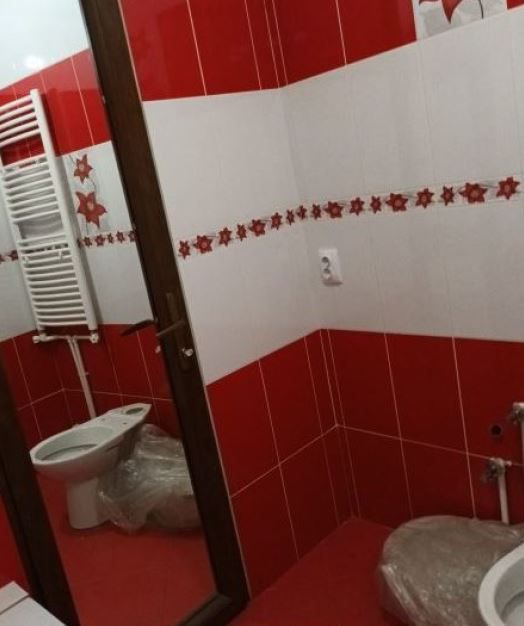 Garsoniera Roman - Poză 4