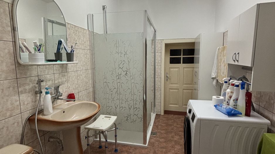 Casa cu teren și grădina zona Bogdanestilor - Poză 12