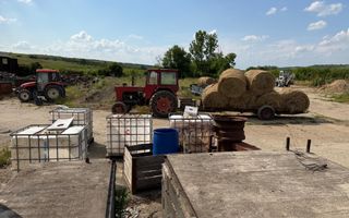 Activ agricol integrat | 67,5 ha | Oportunitate investițională - Poză 3