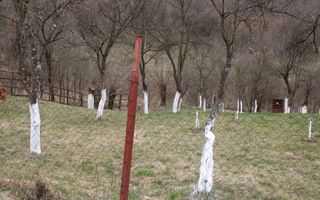 Pământ I Fereastră către Eternitate în  Transilvania - Poză 14