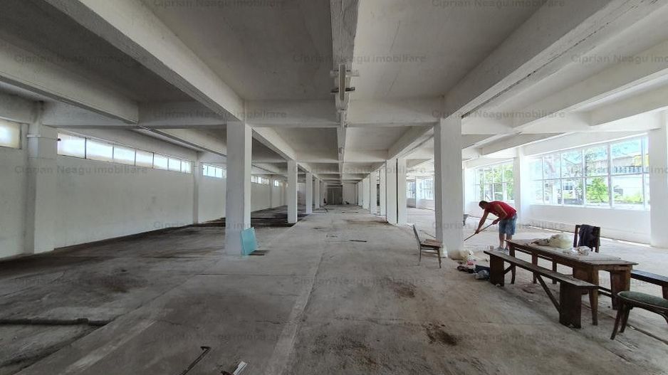 Hala Depozitare de Inchiriat Pitesti - Poză 9
