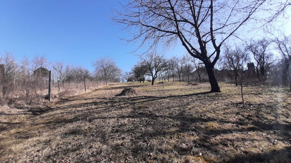 Teren de vanzare in Valcele - Poză 2