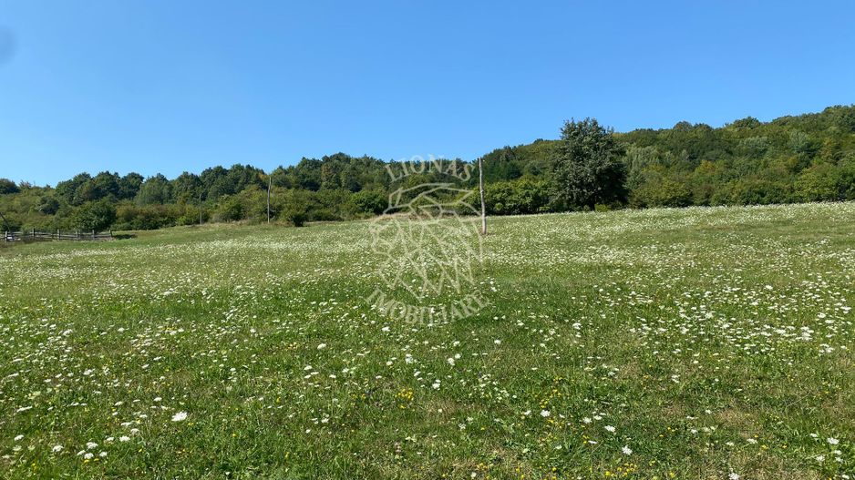 Teren 11.000 mp-ideal cabana/ferma-Unirea-Valea Slatinitei - Poză 6