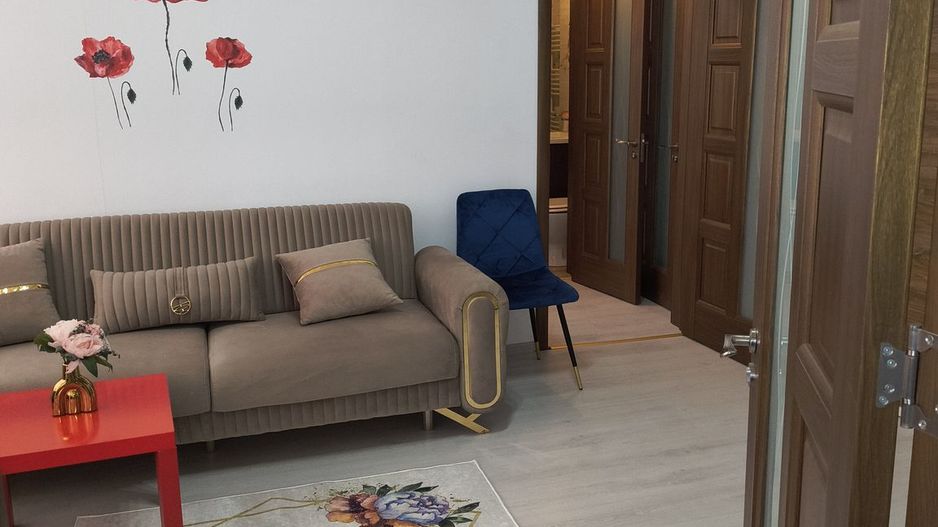 Apartament Ion Mihalache // Domenii - Poză 2