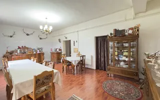 Casă 7 camere cu Teren 4.620 mp | Potențial pentru rezidență sau afacere | Carei - Poză 14