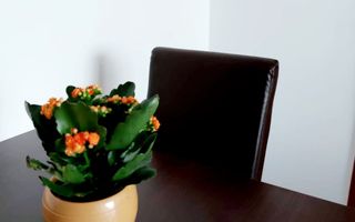 Apartament 2 camere Drumul Taberei Parc Moghioros - Poză 8