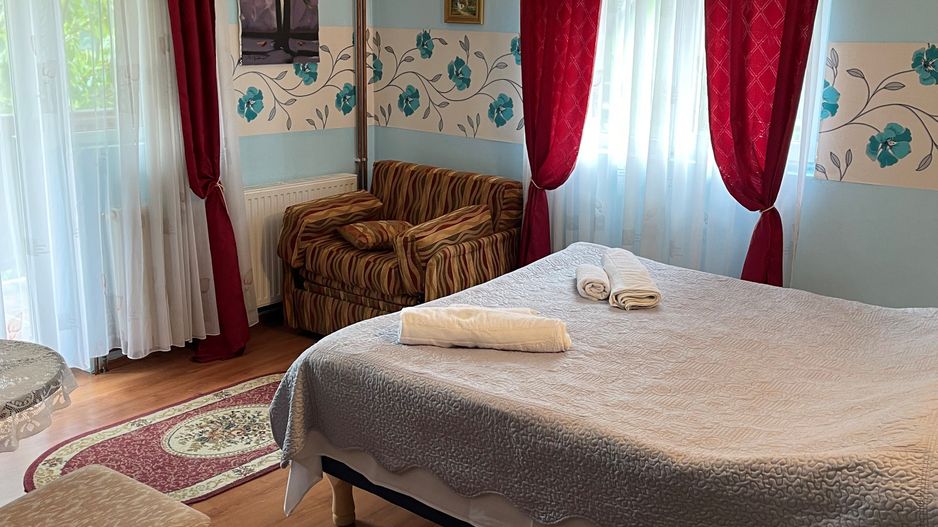 Proprietate in incantarea naturii, oportunitate investitie/rezidential, Predeal - Poză 20