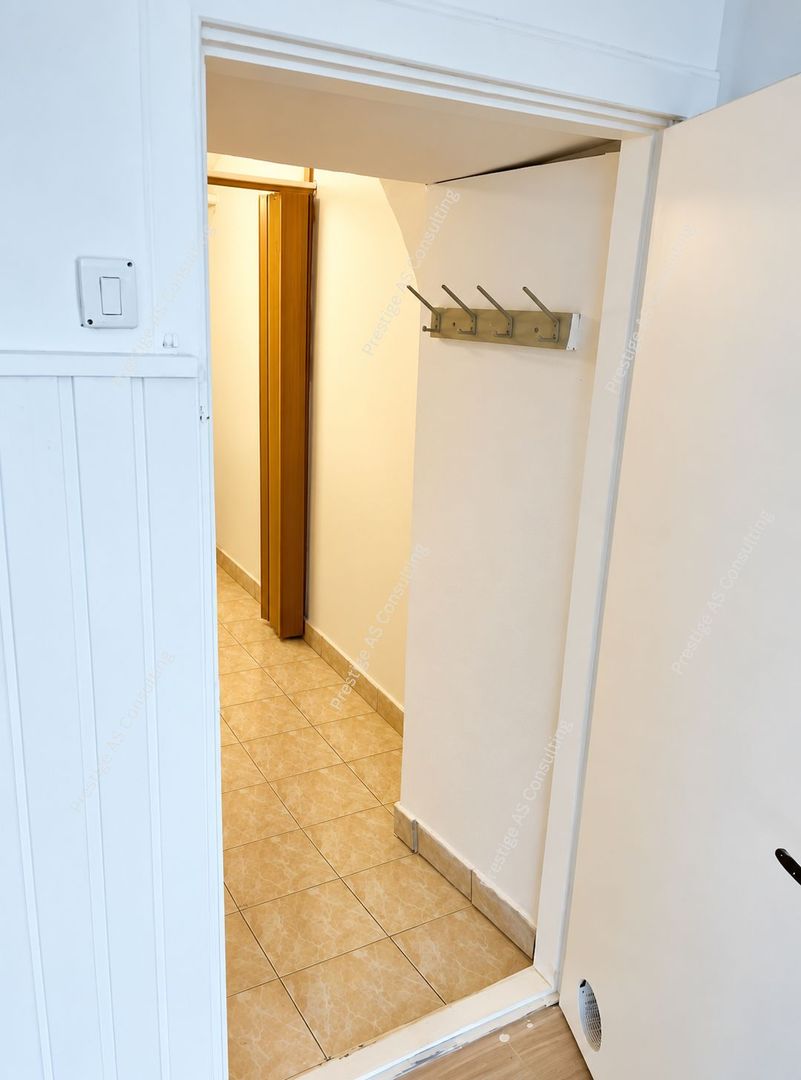 Spatiu comercial de inchiriat | Dragalina | Zona semicentrala - Poză 5