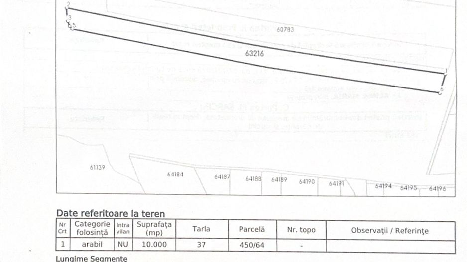 Teren extravilan agricol 1 ha de vânzare- Damienești, Bacău - Poză 4