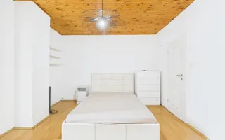 Casă / Vilă cocheta cu 3 camere - de vanzare - zona Basarab - Poză 23