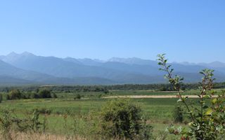 TEREN 4500 MP I PARC FOTOVOLTAIC I ARPASUL DE SUS - Poză 3