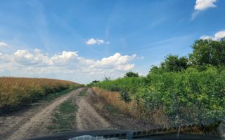 Teren intravilan -Jimbolia zona Kikindei - Poză 10