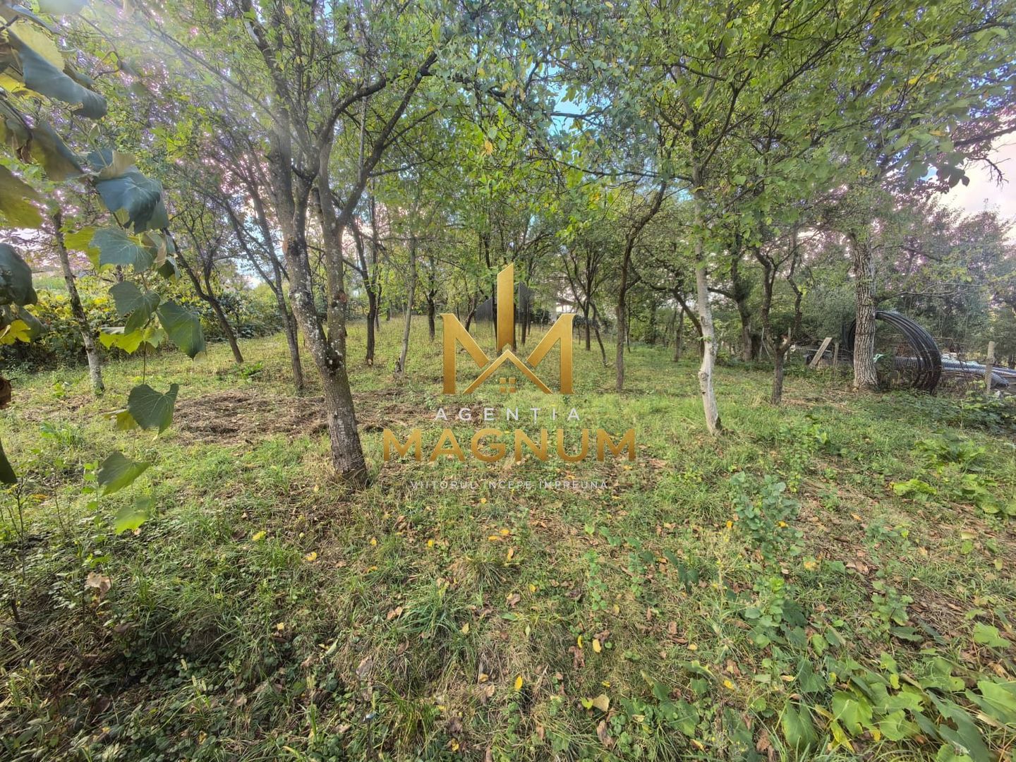 Casă de vânzare în Dumbrăvița, Maramureș  0% comision - Poză 8