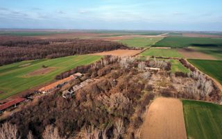 Ferma si livada de meri in judetul Ilfov - Poză 17