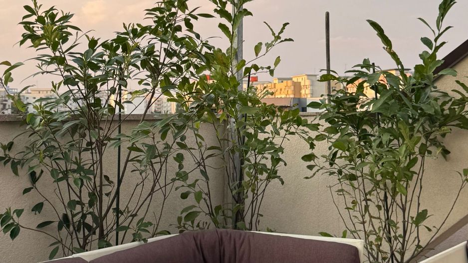 De vanzare Penthouse spectaculos Apartament 3 camere, Timpuri Noi - Poză 28
