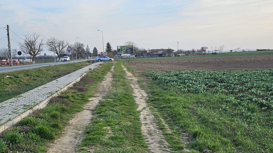 Teren 21600 mp in apropiere de Autostrada Transulvania - Poză 5