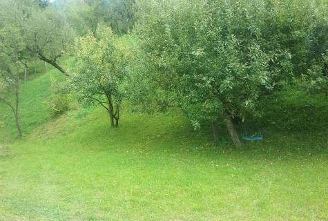 Teren intravilan, Sangeorz-Bai, jud. Bistrita Nasaud - Poză 3