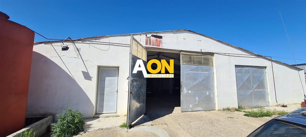 Hala Industriala 1077 mp - Poză 1