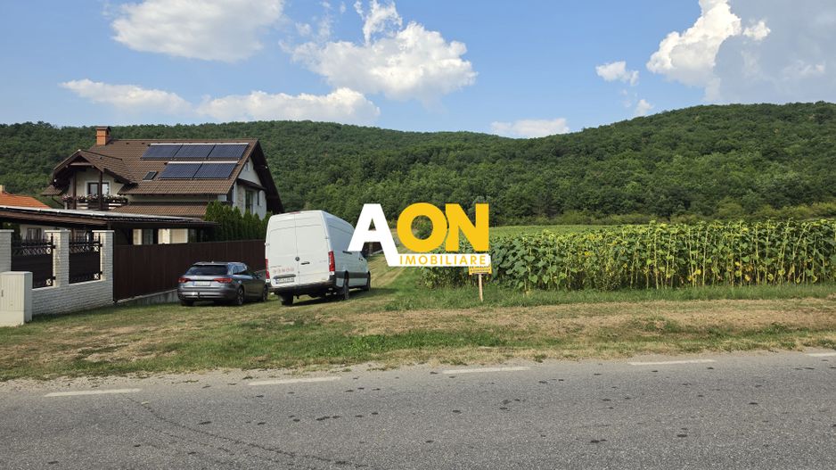 Teren intravilan, 2800 mp, la asfalt,cu utilitati, Hapria, com. Ciugud - Poză 3