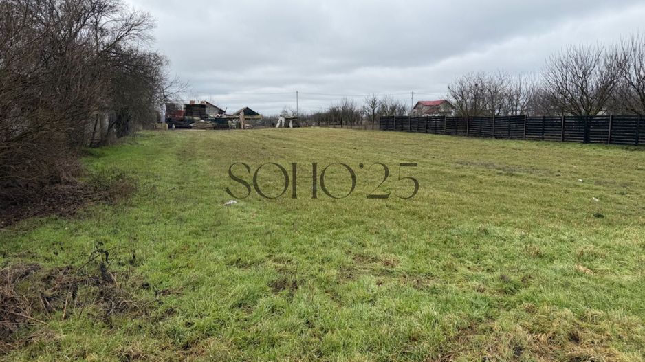 Teren de Vanzare Gradistea Sitaru - Poză 2