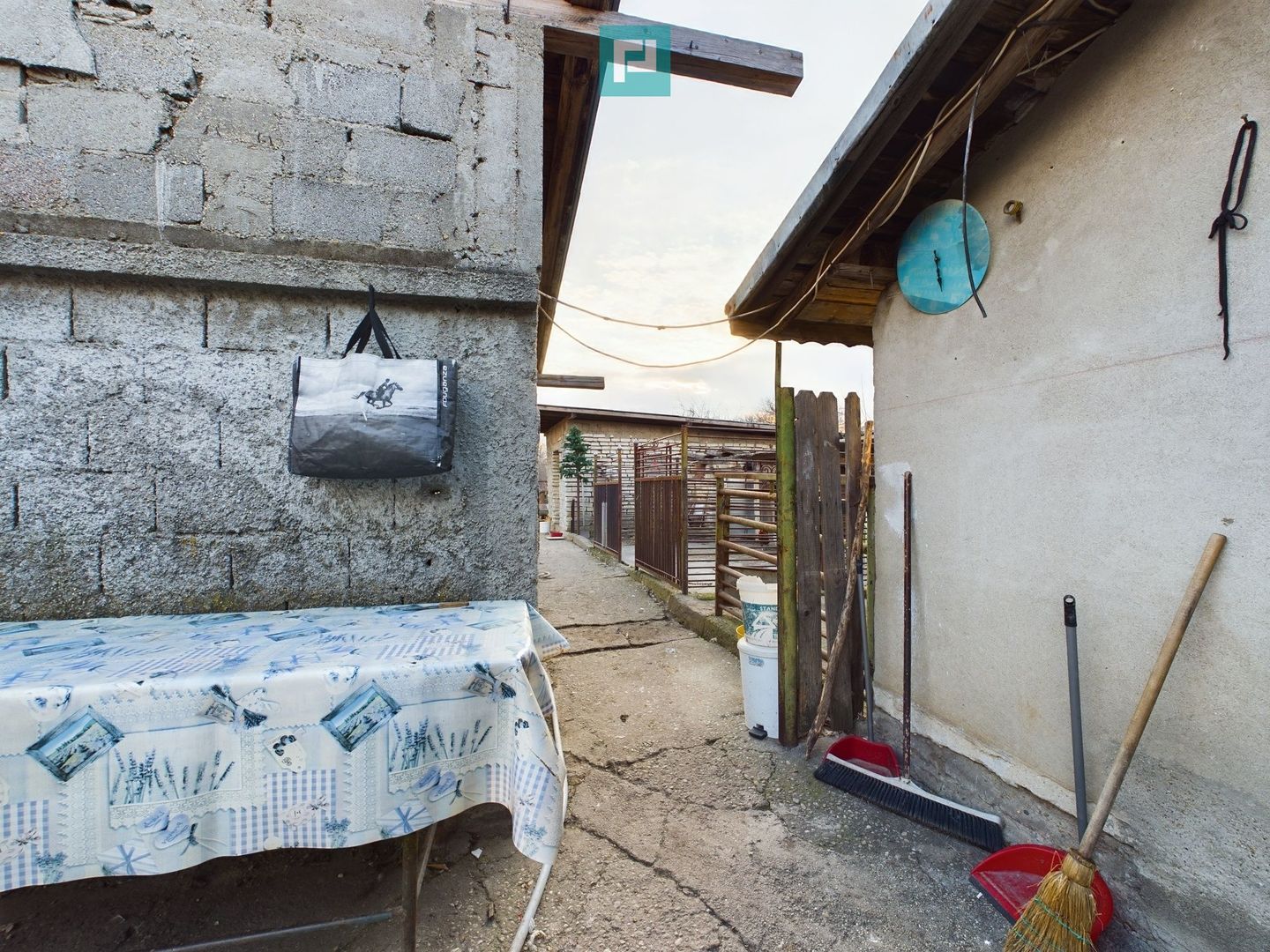 Casa modesta, 2500 mp teren, Domnesti - Poză 10