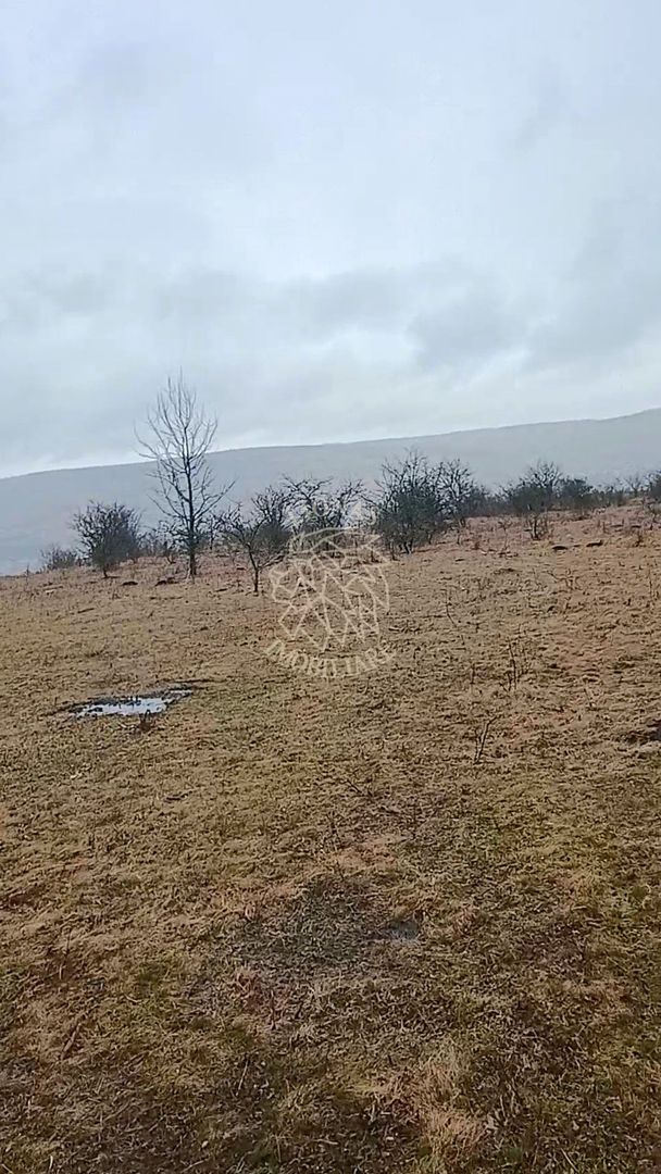 Teren 10000mp intravilan Chinteni 14 case aprobate  Investiție dezvoltator - Poză 7