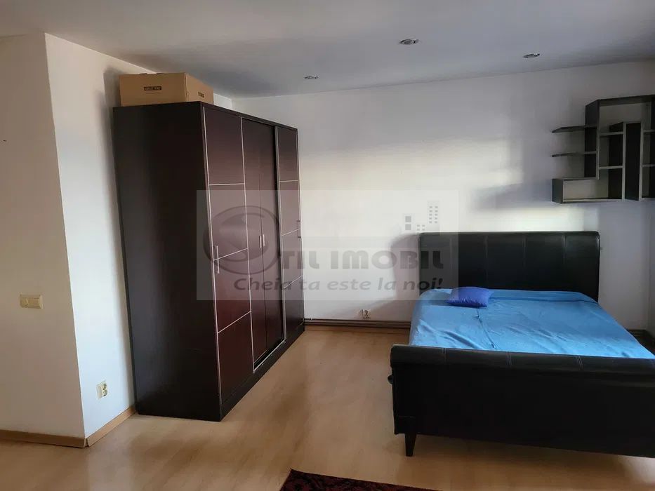 Apartament 1 camera Pacurari - 299 EURO - Poză 4